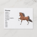 Recherche de gaited Saddlebred