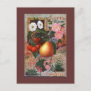 Recherche de illustration de fruit cartes postales Toute personne