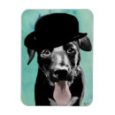 Recherche de labrador magnete Fleurs