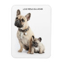 Recherche de francais magnets Chiot