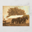 Recherche de cheval percheron cartes postales Photographie
