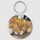 Recherche de cute kitten porteclés Adorable