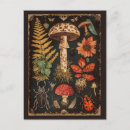 Recherche de fougères vertes cartes postales Pour tous