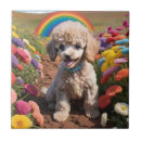 Recherche de arc en ciel coloré carreaux Fleur