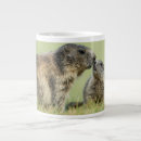 Recherche de marmottes tasses Bois