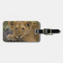 Recherche de panthera accessoires Carnivore