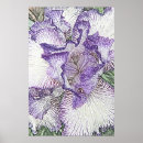 Recherche de copie pourpre de fleur Floral