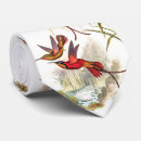 Recherche de colibri cravates Tropical