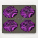 Recherche de coquilles de feston Nautique