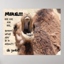 Recherche de humour chameau de posters Bosse