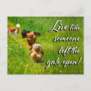 Recherche de vis cartes postales Chien