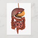 Recherche de digestif cartes postales Muscle