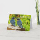 Recherche de hirondelle vœux cartes Avale