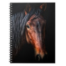 Recherche de portrait de cheval Couleur