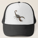 Recherche de scorpions casquettes Animaux