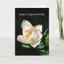Recherche de salutation de tulipe Sympathie