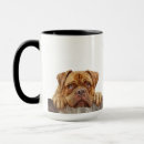 Recherche de dogue de bordeaux tasses Animal
