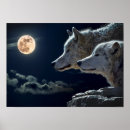 Recherche de loup de nuit posters Imaginaire