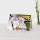 Recherche de belle fleur de jaune orange vœux cartes Pour tous