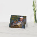 Recherche de canard de mandarine vœux cartes Animal