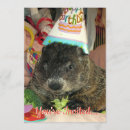 Recherche de marmotte invitations Mignon