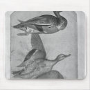 Recherche de album tapis souris Oiseau