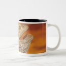 Recherche de dragon barbu tasses Froid blooded