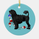 Recherche de chien repéré Chiens