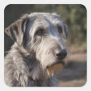 Recherche de wolfhound autocollants Animal
