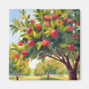 Recherche de pommier magnets Aquarelle