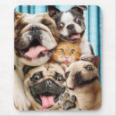 Recherche de photo drôle chien tapis souris Adorable
