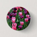 Recherche de rose de tulipe badges Fleurs