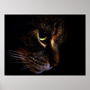 Recherche de minou art Amour