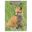 Recherche de herbe porte blocs Délimiteur danita