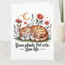 Recherche de plante de chat Jardinage