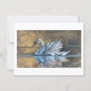 Recherche de peinture de cygne cartes postales Oiseau