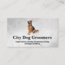 Recherche de berger cartes visite Chiot