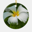 Recherche de landscape ornements Green