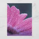 Recherche de macro fleur Floraison