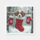 Recherche de st bernard serviettes Chiot