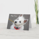 Recherche de chienchien vœux cartes Chiot