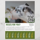 Recherche de canines Dogs