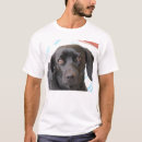 Recherche de chemise teckel vêtements Chemises