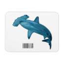 Recherche de requins magnets Mer