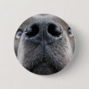 Recherche de deutsch badges Chien