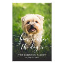 Recherche de chiens art Pour animaux