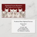Recherche de chien westie cartes visite Pour tous