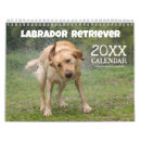 Recherche de laboratoire bureau fournitures Dog