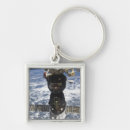Recherche de ceinture de cargaison Photographie