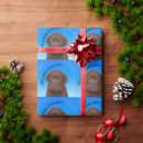 Recherche de chocolat labrador papier cadeau Chien